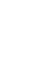 lovense icon